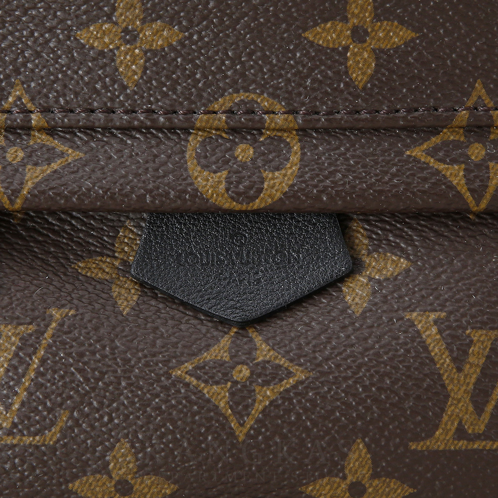 LOUIS VUITTON(USED)루이비통 팜 스프링스 미니 백팩